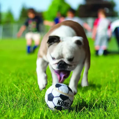 Kong Sport Balls 2-Pack Dog Toy Large 9cm
