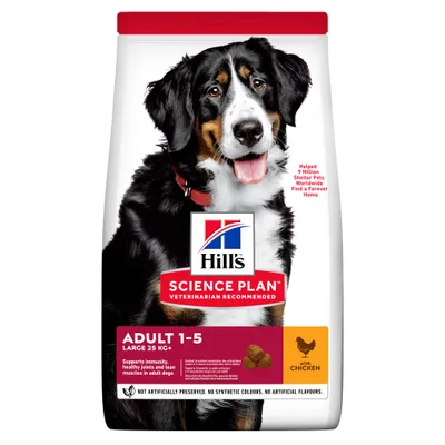 Adult Large Breed Chicken Torrfoder för hund 12kg