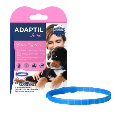 Adaptil Junior Halsband