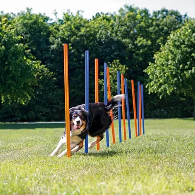 Trixie Agility Slalompinnar 12-pack