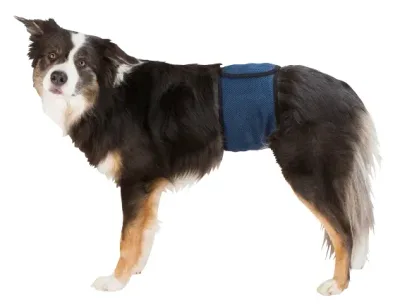 Hanhundsskydd mörkblå