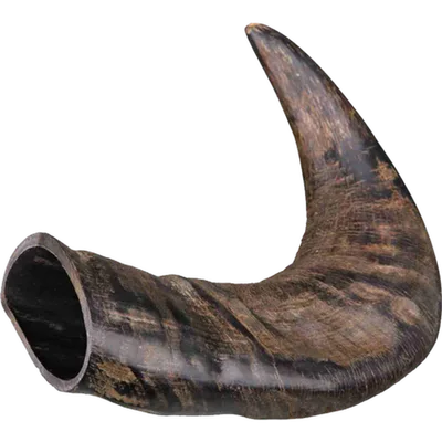 Trixie Buffalo Chewing Horn Durable Black Medium