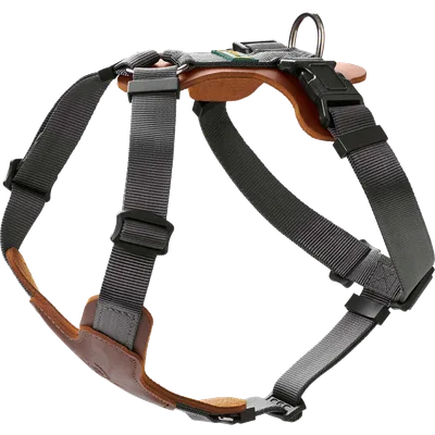 Hunter Hundsele Mixed Aalborg Cognac XS-S Bröstmått 38-51cm