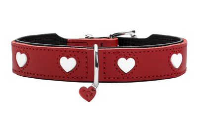 Hunter Love Hundhalsband Röd