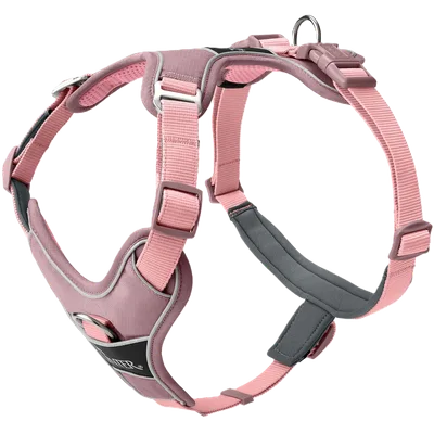 Hunter Harness Divo Up 45-56/S Polyester antique pink