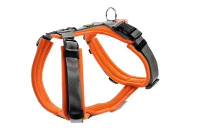 Hunter Harness Maldon Up Polyester orange/grey 53-71/M