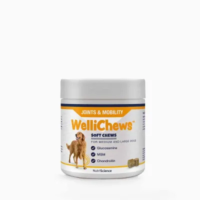 Wellichews Joints & Mobility medium & large breed 60 st för hundar