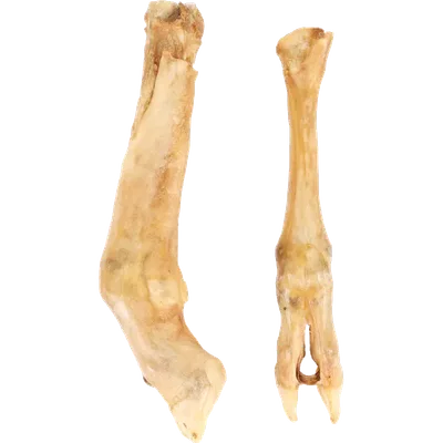 Flamingo Dog Nature Snack Lamb’s Foot 2-pack