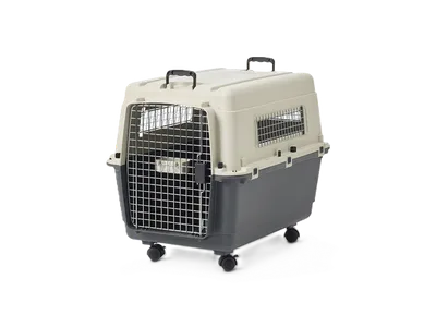 Savic Andes Flygbur/Transportbur