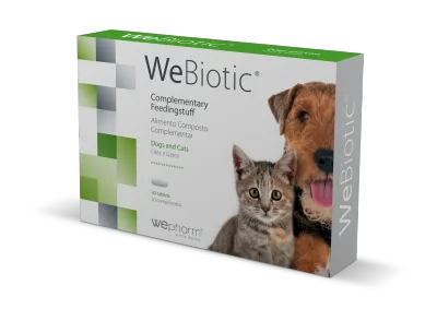 Wepharm WeBiotic tabletter för hundar och katter 30 st
