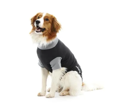 BUSTER Body Suit EasyGo till hund, svart/grå