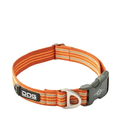 Urban Style Hundhalsband Orange M