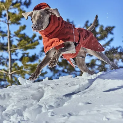 Hurtta Extreme Warmer III ECO Hundjacka Lila
