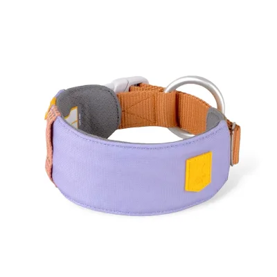 Woolly Wolf Alpha 360 Hundhalsband Ljuslila/Brun