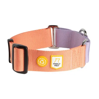 Woolly Wolf Color Block Halvstryp Halsband Terracotta Mix