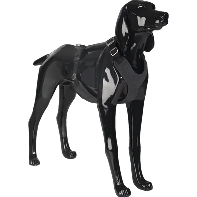PAIKKA Visibility Harness Dark L