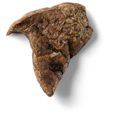 RAUH! Nötlunga 800 g för hundar