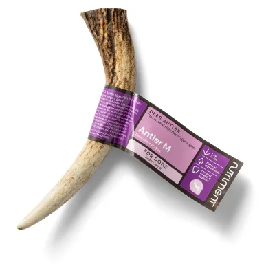 Nutriment Hjorthorn Hundtugg