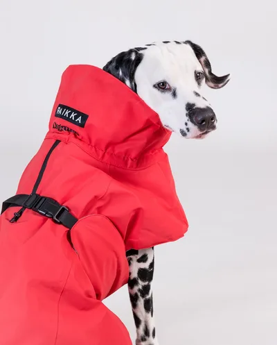 Paikka x Dogman Regntäcke Röd 60cm