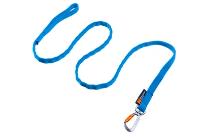 Non-Stop Bungee Leash elastiskt koppel 2m Blå