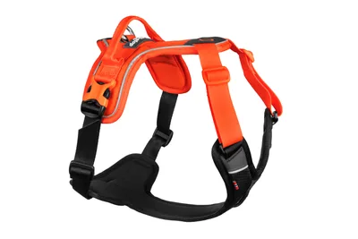 Ramble Hundsele Orange L
