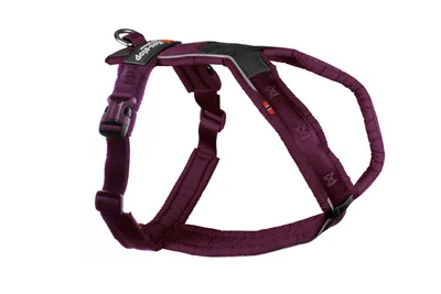 Non-Stop Dogwear Line Hundsele 5.0 Lila