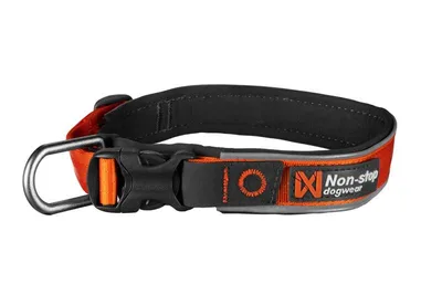 Roam Hundhalsband Orange L