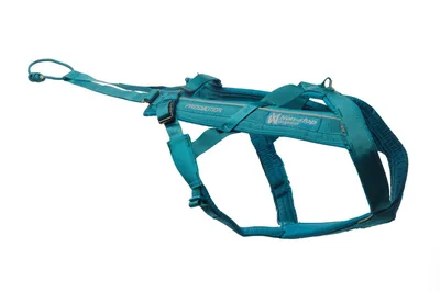 Freemotion Harness 5.0 Hundsele Turkos 8