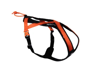 Non-Stop Dogwear Rush Hundsele Orange