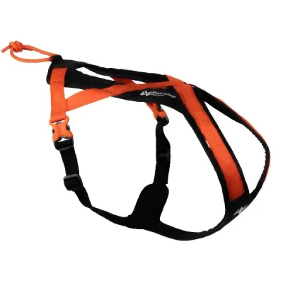 Non-Stop Dogwear Rush Hundsele Orange