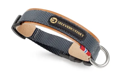 Secure Hundhalsband Grå XXS