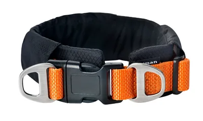 Emmi Fodrat Hundhalsband Ställbart Orange L