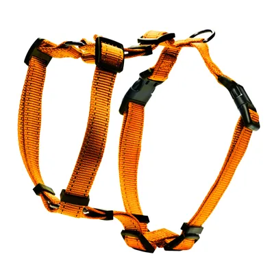 H-Sele Iris Orange XS/S