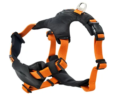 Sportsele Emmi Orange M