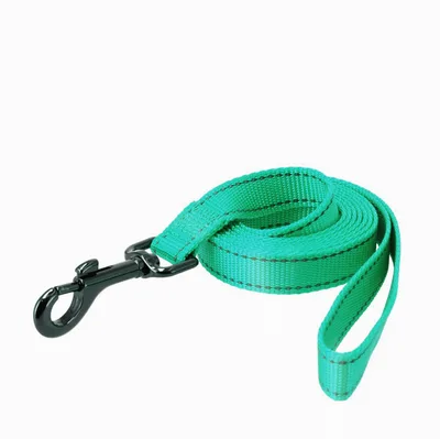 Hundkoppel Dogman Iris Nylon Turkos 180cm