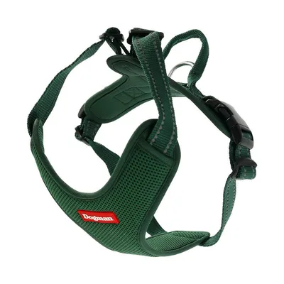 Air Daily Wear Hundsele Grön