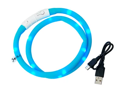 Blinkhalsband LED Turkos