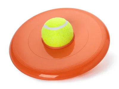 Leksak Frisbee med Boll Mix