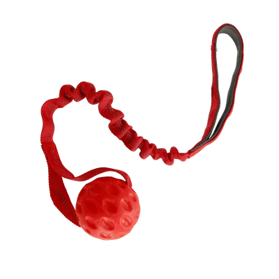 Valpleksak hård boll Röd 50cm