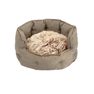 Classy Memory Foam Hundbädd Beige XL