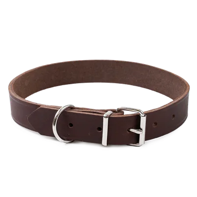 Selected by ZOO Läderhalsband Hera ställbart Brun 25 mm x 44-54 cm