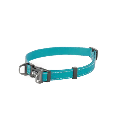 Selected by ZOO Hundhalsband Rufus ställbart, 15mmx35-50cm, Turkos