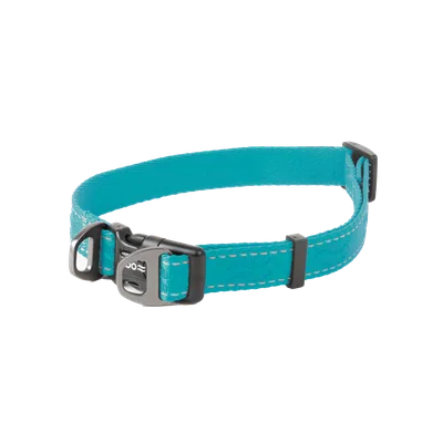 Selected by ZOO Hundhalsband Rufus ställbart, 20mmx36-60cm, Turkos