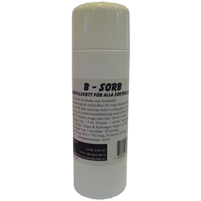 B-Sorb Järnsirap 100 ml