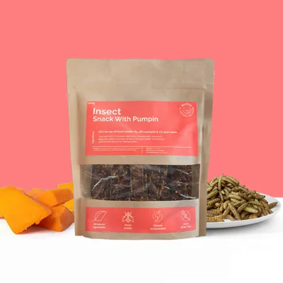 Insect Snack With Pumpkin 5x100g
