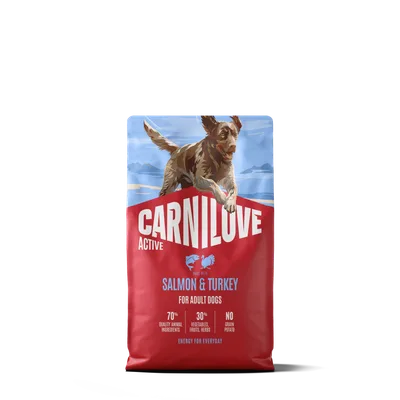 Active Dog Salmon & Turkey Adult 4kg