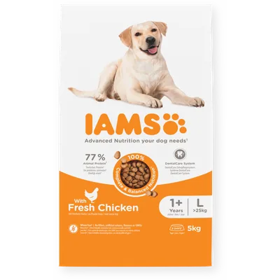 2 x 12 kg IAMS for Vitality Dog Adult Large Chicken (2 x 12 kg)
