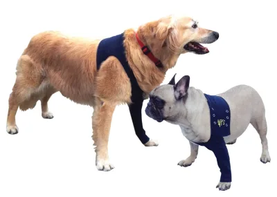Medical Pet Shirt Taz skydd för framben