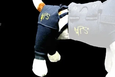 Medical Pet Shirt skydd för bakben