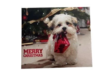 ZOO.se Julkalender Hund - 24 st luckor